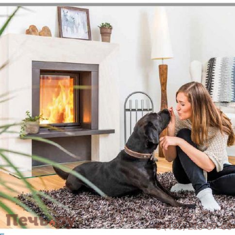 Каминная топка Schmid Lina 5557 h фото 2