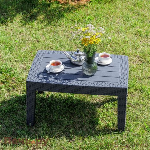 Лаунж стол Royal Family LANA фото