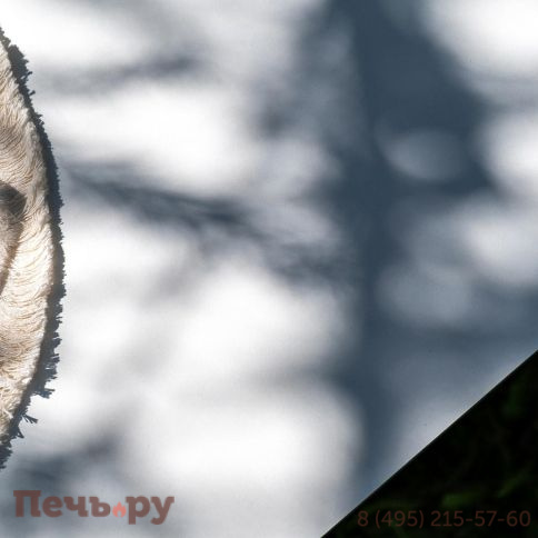 Лаунж-зона 4SiS Диего 4-местная плетеная из роупа (веревки), каркас алюминиевый белый, роуп бежевый фото 9