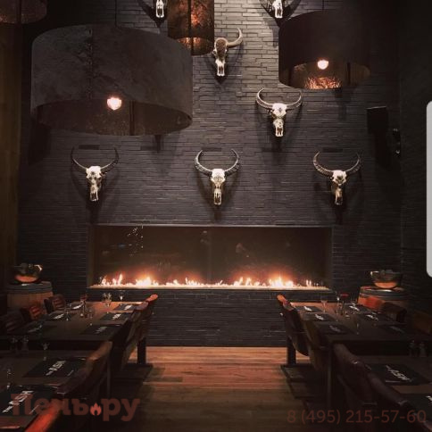 Встраиваемый биокамин SappFire 1800 фото 2