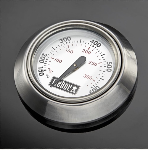 5термометр.jpg 5термометр.jpg