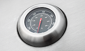 Gino-300_termo.jpg Gino-300_termo.jpg