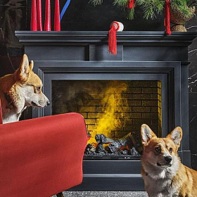 Портал Dimplex Coventry под очаг Cassette 400 / 600 изображение Портал Dimplex Coventry под очаг Cassette 400 / 600 фото